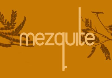 Mezquite