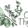 Olive Thyme